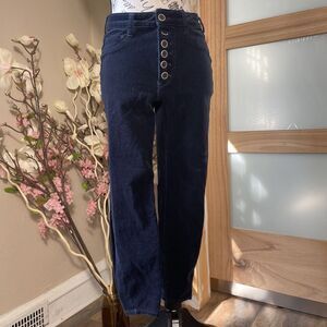 Anthropologie PILCRO Button Fly High-Rise Skinny Corduroy Pants Women's 28P Navy
